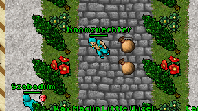 Gnomzuechter on screen