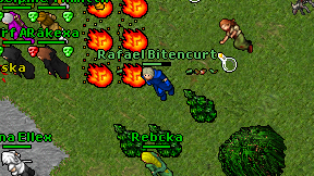 Rafael Bitencurt on screen