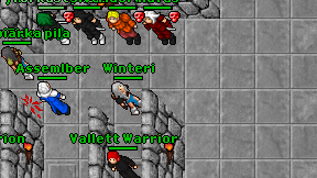 Winteri on screen