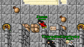Zamin on screen