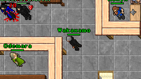 Wakaxamo on screen