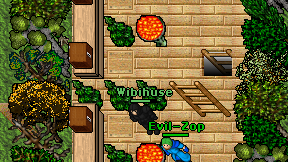 Wibihuse on screen