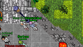 Neureme on screen