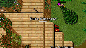 Elite Wiktoria on screen