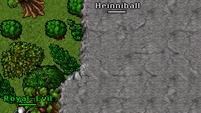 Heinniball on screen