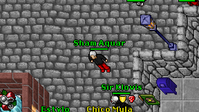 Sham Aquar on screen