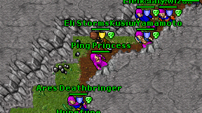 Ping Princess on screen
