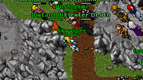 Skyviper on screen