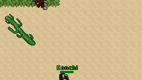 Konchi on screen
