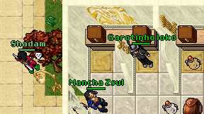 Garotinho loko on screen