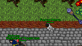Farus Meru on screen