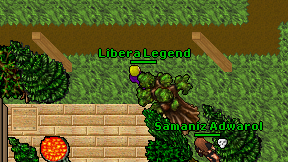 Libera Legend on screen