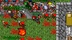 Vigigo on screen