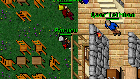 Porucu on screen