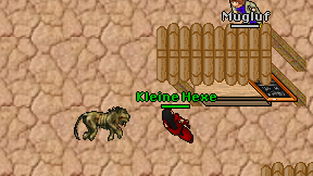 Kleine Hexe on screen