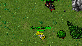 Acoy Mario on screen