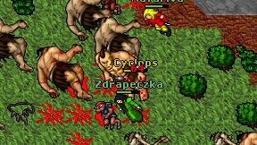 Zdrapeczka on screen