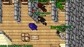 Salveitor on screen