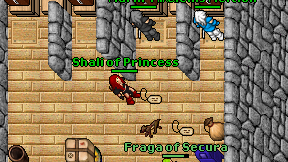 Shali of Princess on screen
