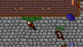 Gato Ninja on screen