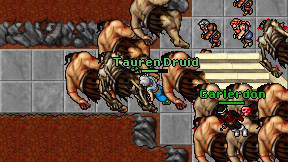 Tauren Druid on screen