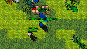 Zostaw Pojare on screen