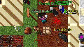 Saint Robin on screen