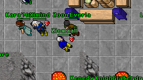 Ziomaall on screen