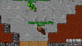 Marty Mac Fly on screen