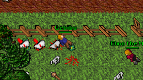 Elmo the Mage on screen