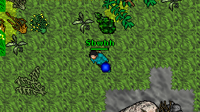 Sbwbh on screen