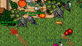 Don'Armando on screen