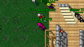 Taty'Dark on screen