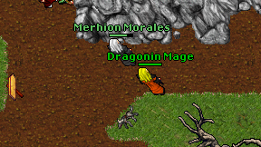 Dragonin Mage on screen