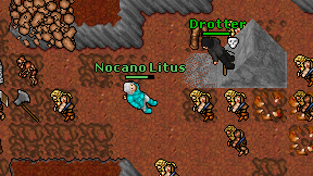 Nocano Litus on screen