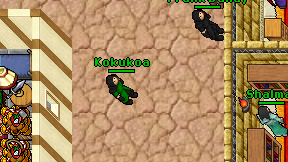 Kokukoa on screen