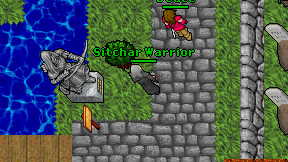 Sitchar Warrior on screen