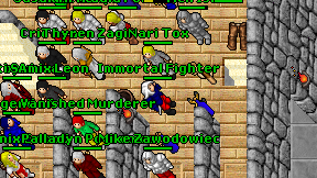 Immortal Fighter on screen