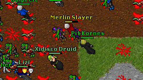 Merlin Slayer on screen