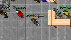 Denda Anne on screen