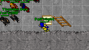 Pall'Night on screen