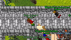 Rip Cuurl on screen