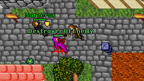 Destroyer Of Enemy on screen