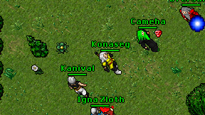 Konaseg on screen