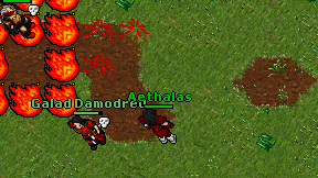 Aethalas on screen