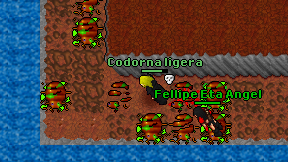 Codorna ligera on screen