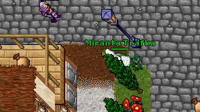 Miranta Trafka on screen