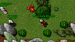 Macros Blade on screen
