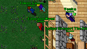 Edorgon Wymi on screen