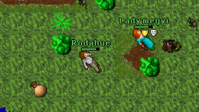 Rodahue on screen